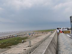 -南汇新城海滩