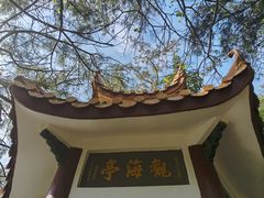 -宋井风景区