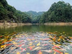 -南山植物园