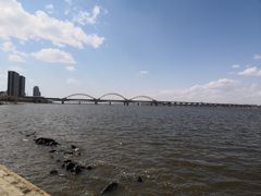 -哈尔滨市宠物交易市场