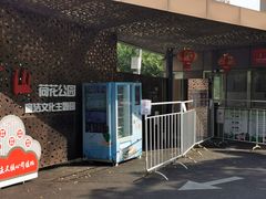 -陈家山荷花公园
