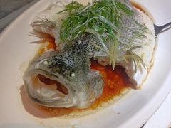 -金騰閣·经典粤菜(汾江中路店)