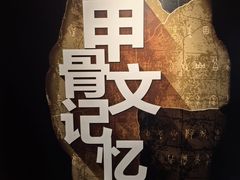 -云龙轩(迪士尼探索家度假酒店)