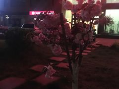 -白老三牛肉丸子面(平阳广场店)