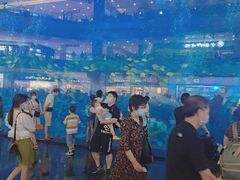 -成都浩海立方海洋公园