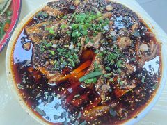 -东吴霸王兔(松青路店)