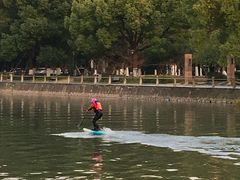 -运河游船(武林门码头)