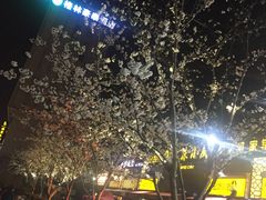 -笑来喜馄饨小笼工坊店(湖滨街店)
