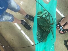 -班赞海鲜市场