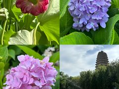 -西安博物院