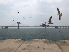 -星海湾跨海大桥