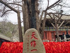 -红螺寺