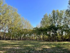 -塘沽森林公园