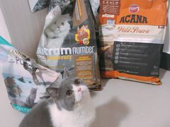 -萌兽医馆·宠物医院·猫骨科(创景店)