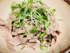 -南京大牌档(香港广场店)
