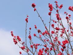 -乌山风景区