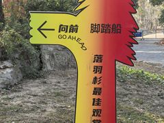 -上海海湾国家森林公园