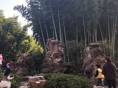 -荆川公园