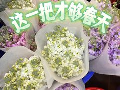-金汇四季广场