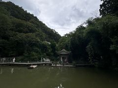 -黔灵山公园