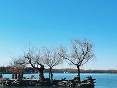 -颐和园