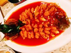 -大鸭梨烤鸭(左家庄店)