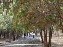 -青州市云门山风景区