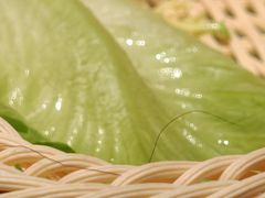 -犇鼎牛潮汕牛肉火锅(新辰里学清路店)