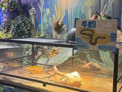 -正佳雨林生态植物园