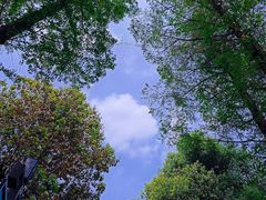 -成都市文化公园