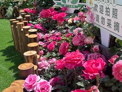 -上海第一八佰伴