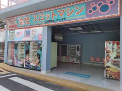 -霏梵印象公园摄影基地