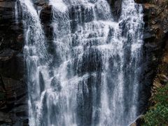 -海南热带雨林国家公园吊罗山景区