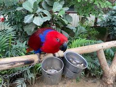 -南宫五洲植物乐园