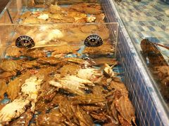 -蓝钻·国际美食海鲜自助百汇(西直门店)