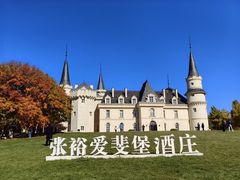 -北京张裕爱斐堡酒庄