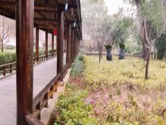 -山湖温泉