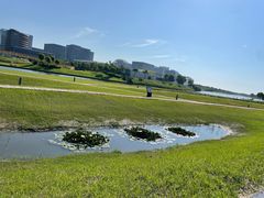 -春花秋色城市公园