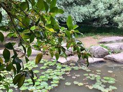 -杭州植物园