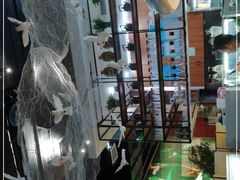 -蕉棠·鸽子餐厅(柳州万象城店)