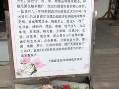 -汇龙潭