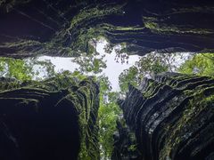 -梭布垭石林景区