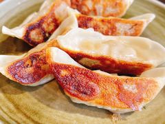 煎饺-东田之村自助餐厅(金水路店)