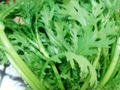 -陈记顺和潮汕鲜牛肉火锅(棠德南路店)