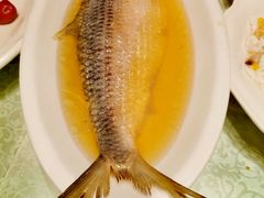 清蒸鲥鱼-燕云楼(云南路店)