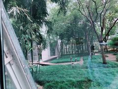 -上海中医药大学附属曙光医院(东部)