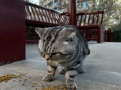 -李叔同故居纪念馆
