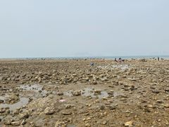 -青岛银沙滩温德姆至尊酒店