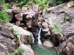 -广州白江湖森林公园