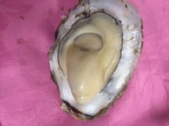 吧唧吧叽-蠔园山庄(礼乐食街店)